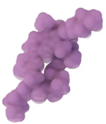 Illustration of Revolution Medicines&#39; RAS On multi-selective noncovalent inhibitor, Daraxonrasib (RMC-6236)
