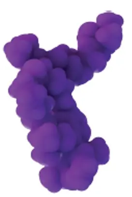 Illustration of Revolution Medicines&#39; RAS On G12D-selective covalent inhibitor, Zoldonrasib (RMC-9805)