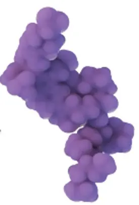 Illustration of Revolution Medicines&#39; RAS On G12C-selective covalent inhibitor, Elironrasib (RMC-6291)