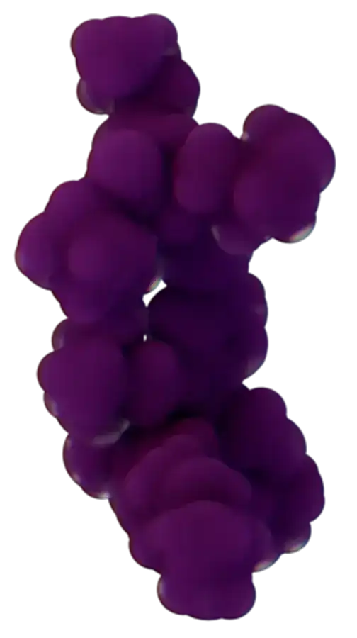 Illustration of Revolution Medicines&#39; RAS On G12V-selective noncovalent inhibitor, RMC-5127